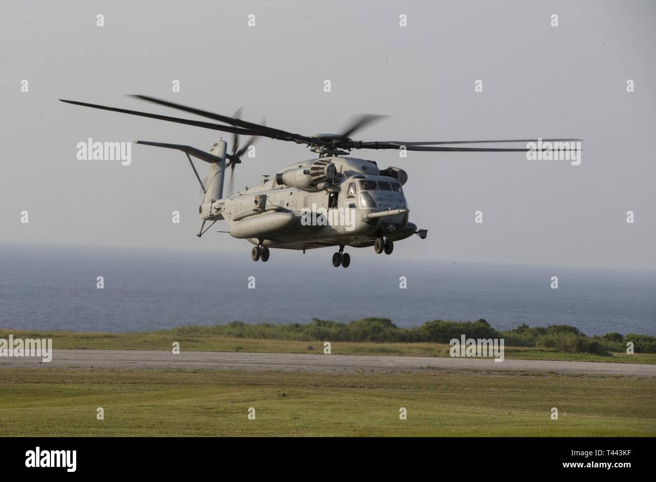 A CH-53E Super Stallion helicopter with Marine Medium Tiltrotor Squadron 262 (Reinforced) prepares to land during simulated Expeditionary Advanced Base Operations at Ie Shima Training Facility, March 13, 2019. Marines with the 31st Marine Expeditionary Unit are conducting simulated EABO in a series of dynamic training events to refine their ability to plan, rehearse and complete a variety of missions. During EABO, the 31st MEU partnered with the 3rd Marine Division, 3rd Marine Logistics Group and 1st Marine Aircraft Wing, and airmen with the U.S. Air Force 353rd Special Operations Group, plann Stock Photo