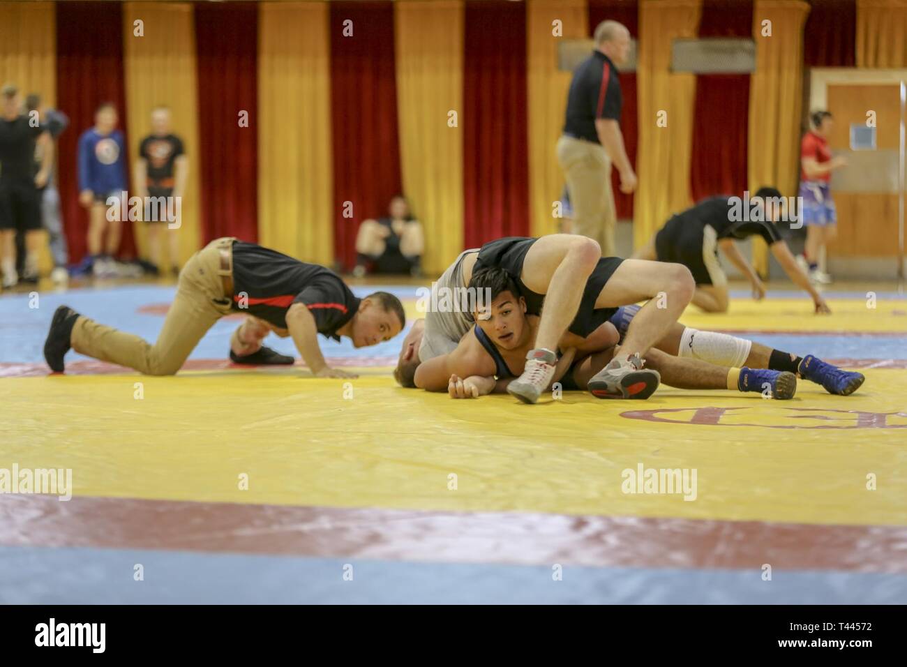 All marine wrestling team hires stock photography and images Alamy