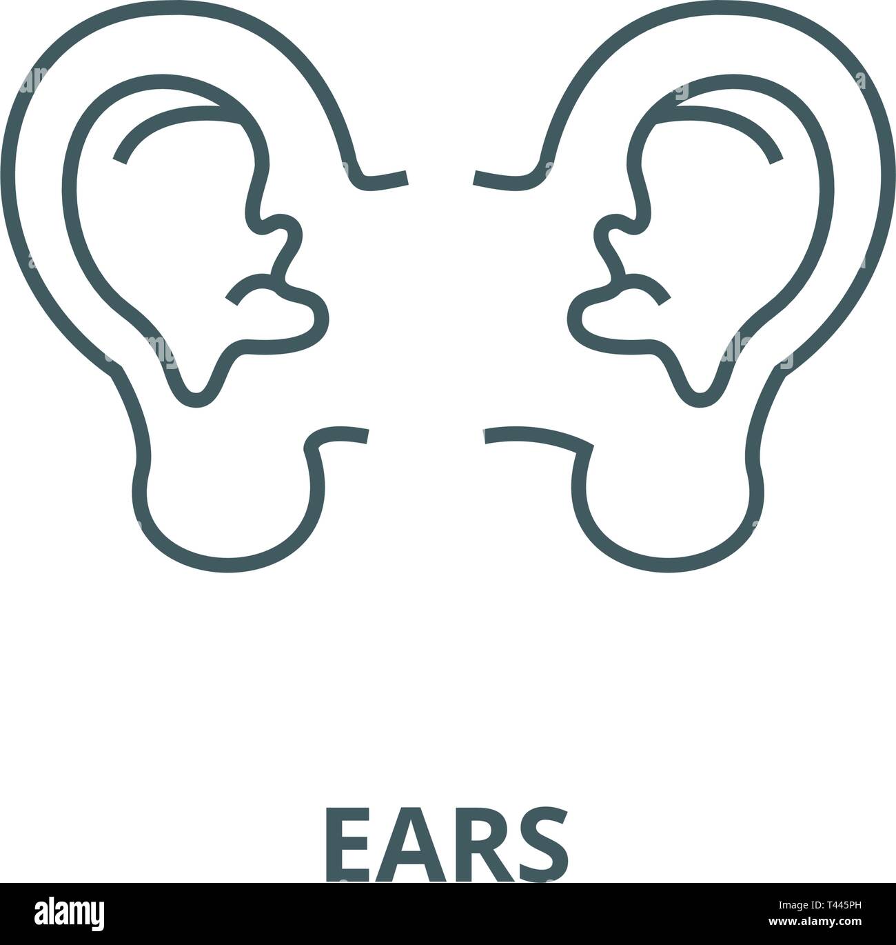 Ears line icon, vector. Ears outline sign, concept symbol, flat