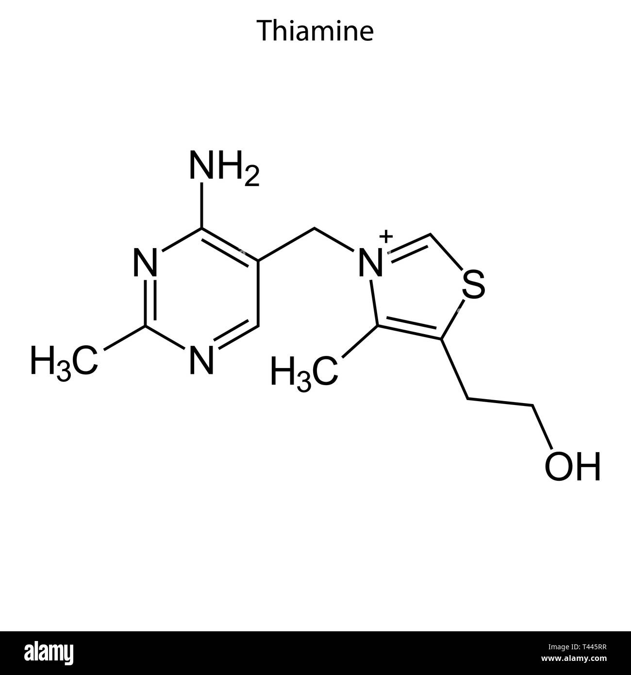 Skeletal formula of Thiamine. Vitamin B1 chemical molecule Stock Vector