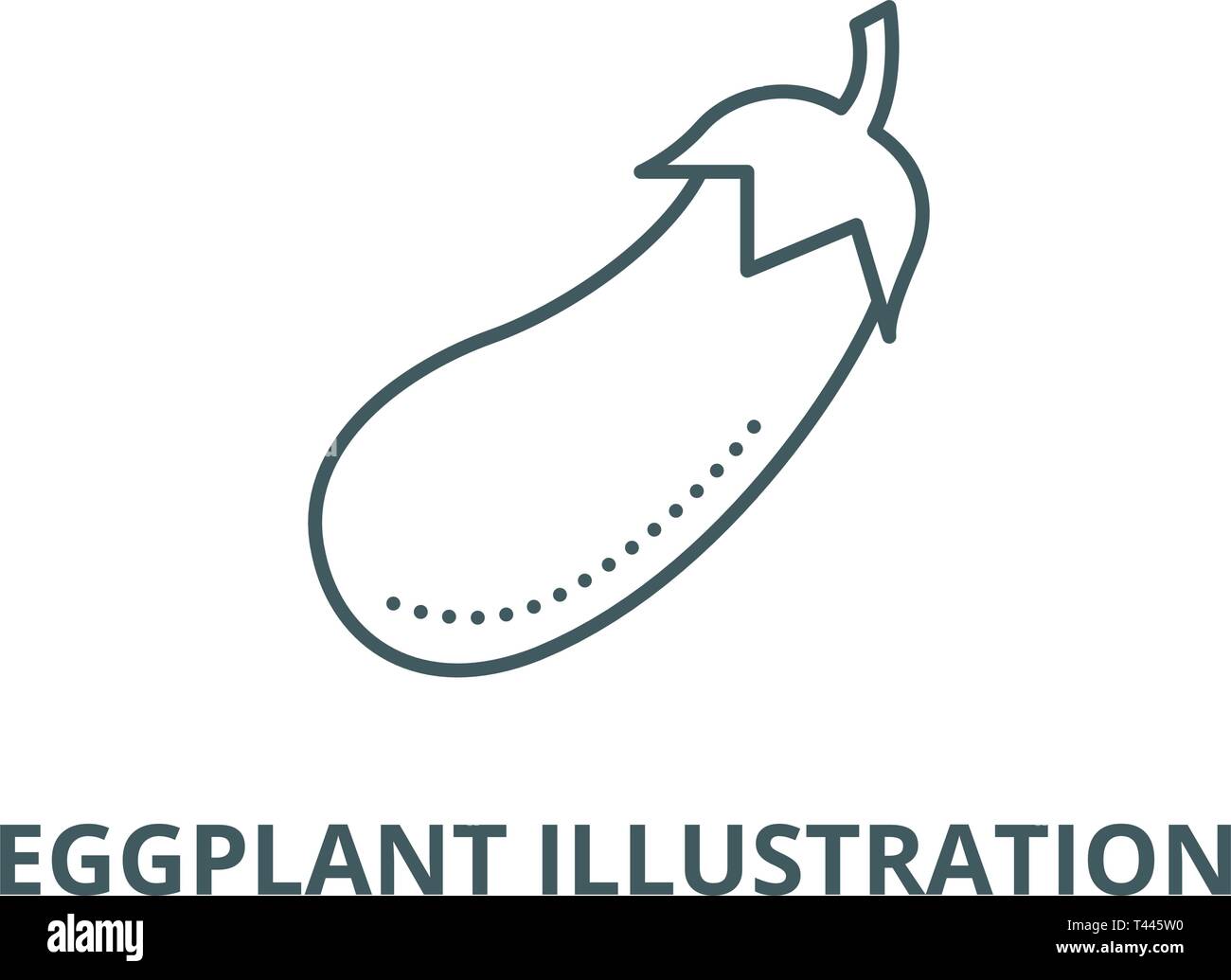 Eggplant illustration line icon, vector. Eggplant illustration outline