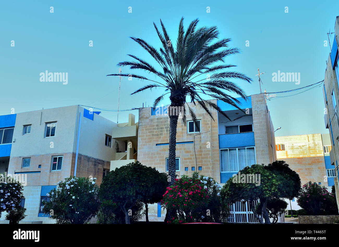 Apartments and flora of Bugibba, town in Malta Stock Photo