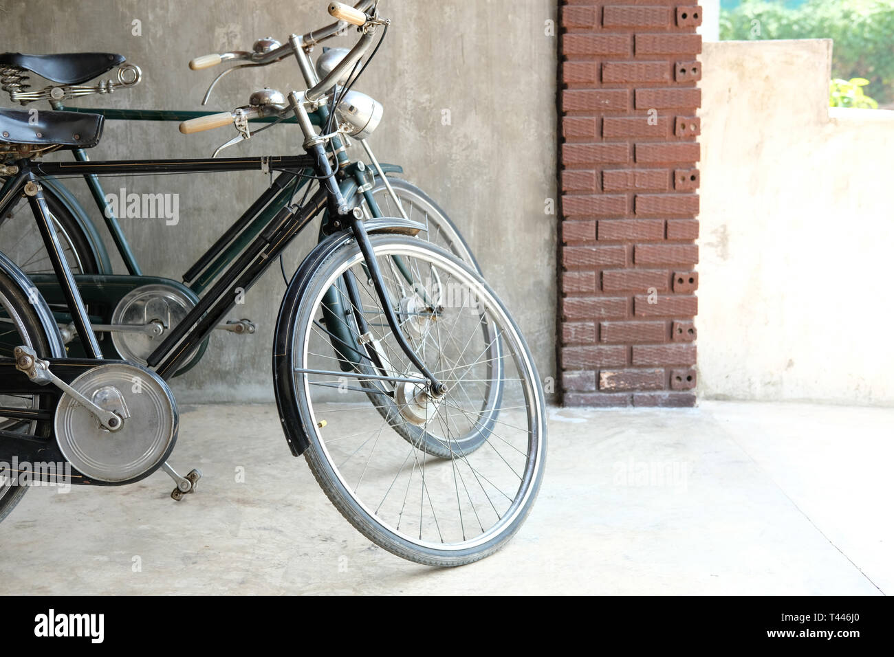 Basikal Yore Steed