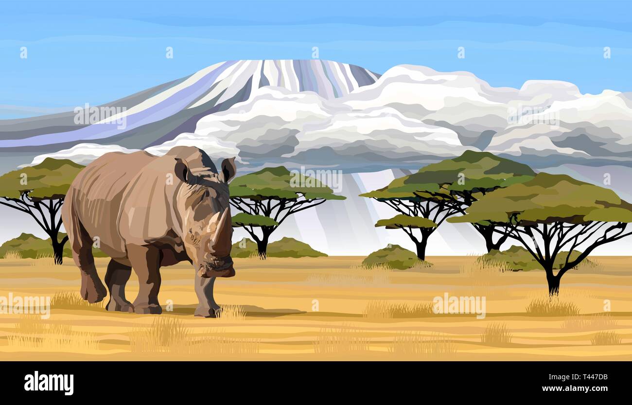 Big African rhino walking in savanna in Africa vector illustration Stock Vector