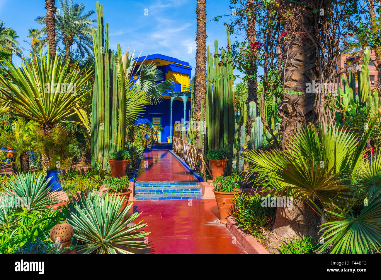Le Jardin Majorelle, amazing tropical garden in Marrakech, Morocco