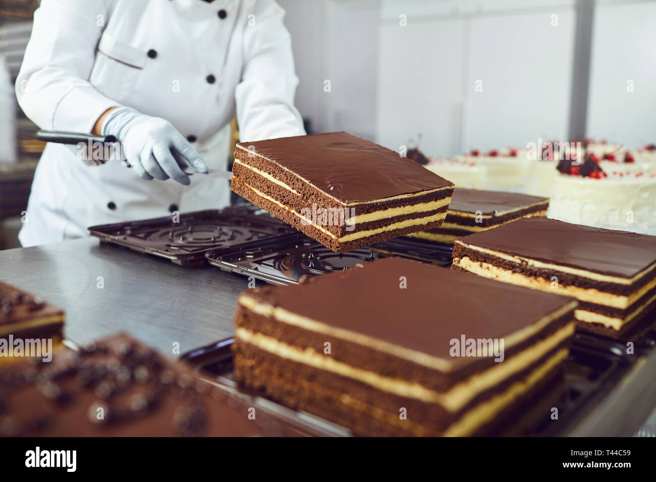 The hands of a pastry chef pack a chocolate cake in the bakery. Stock Photo