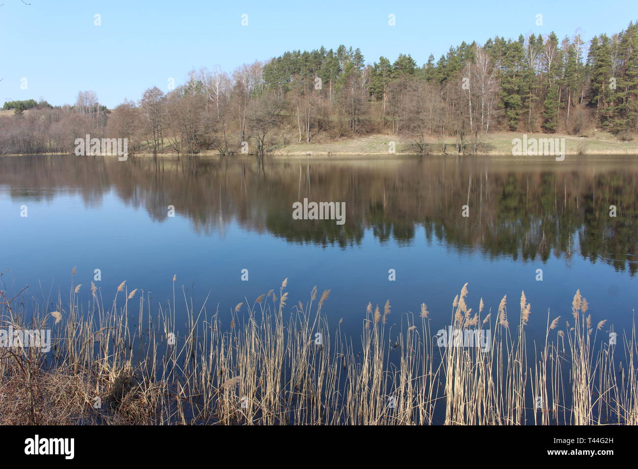 View of a lake (Suwalki Landscape Park, Podlasie, Poland, Europe) Stock Photo