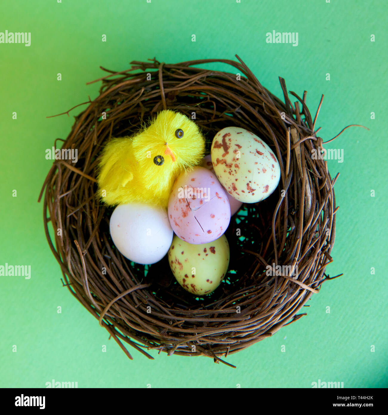 Speckled speckled Easter eggs in a brown nest signifying new life. Stock Photo