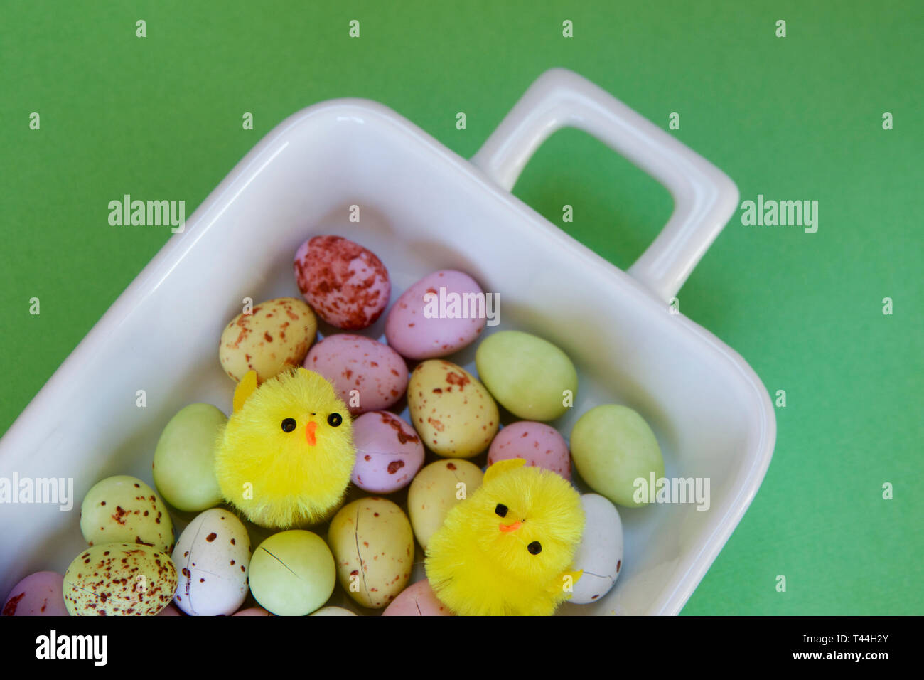 Speckled Easter eggs and two chicks on a white plate with a green background. Stock Photo