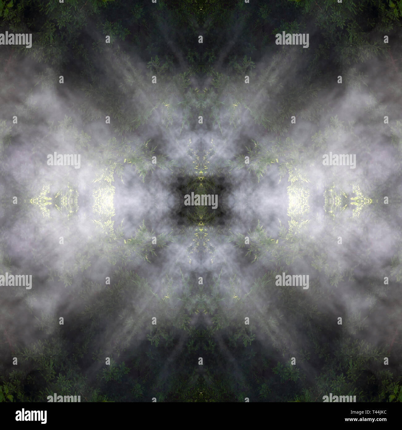 Smoke in the woods Stock Photo Alamy