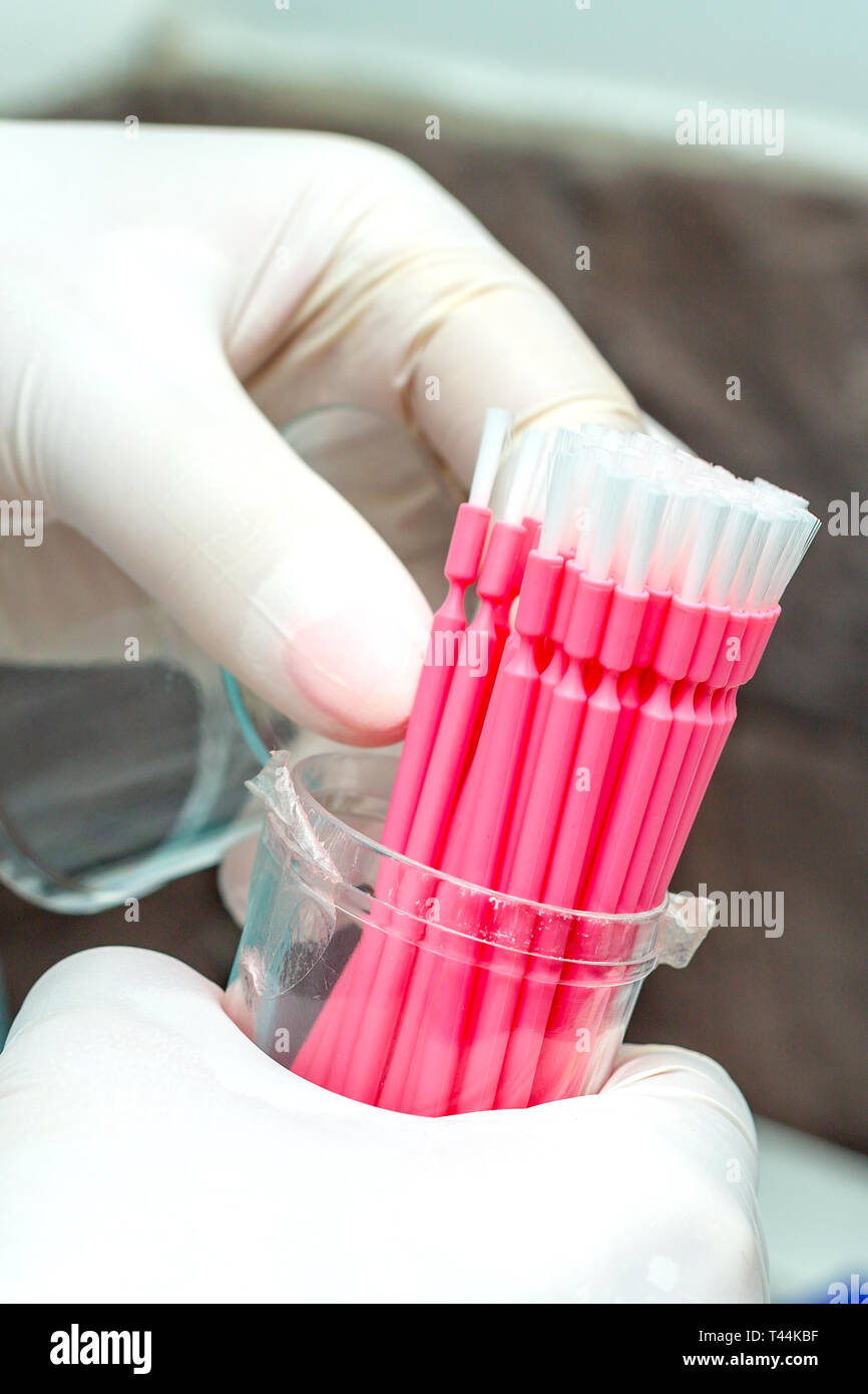 Cotton buds for brushing your teeth in the hands of a dentist. Dental