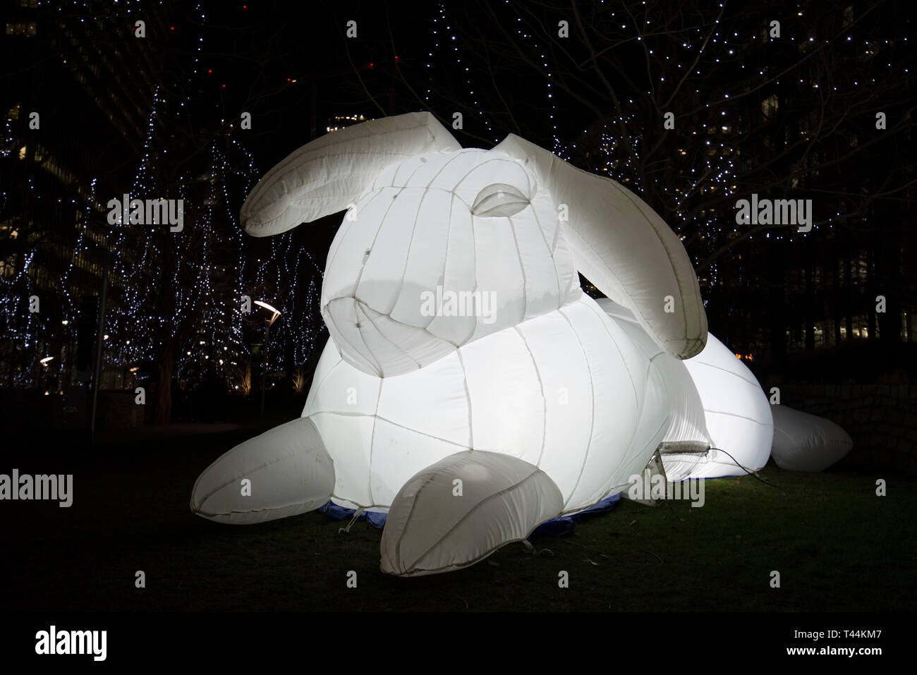 Rabbit london hi-res stock photography and images - Alamy