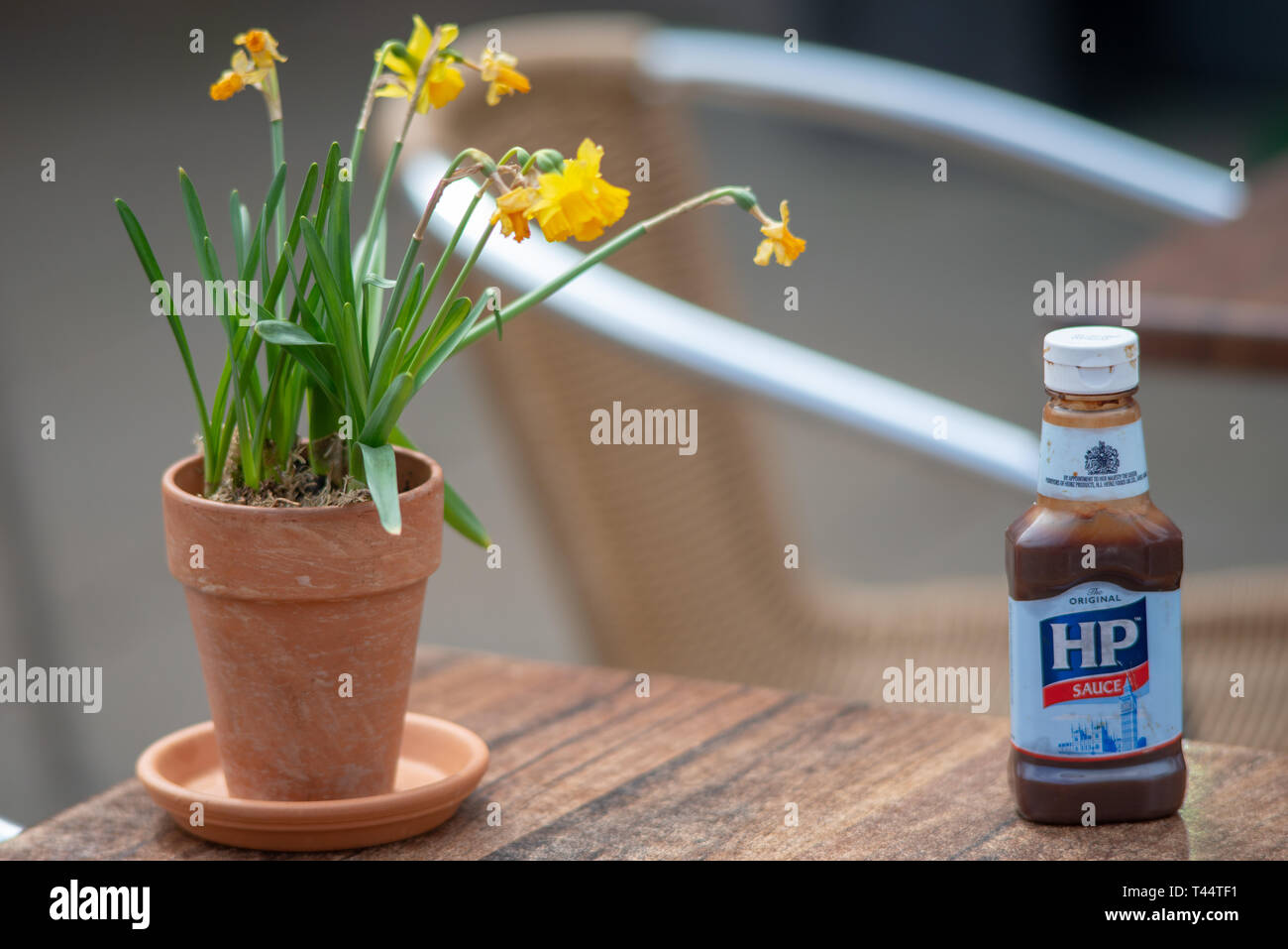 Stratford upon Avon Warwickshire England UK April 13th 2019 bottle of