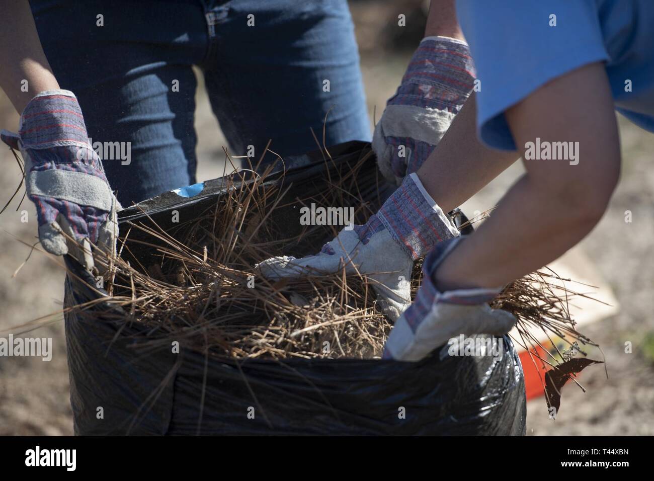 Volunteers bag debris during a clean up event at Oakland Cemetery, in Panama City, Fla., Feb. 23, 2019. Nearly 40 local residents and Tyndall Air Force Base volunteers worked to clean up the cemetery. Stock Photo