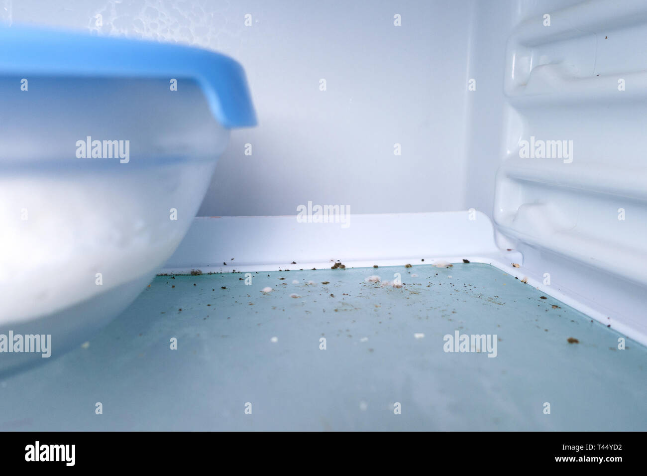 Rotten food refrigerator hires stock photography and images Alamy