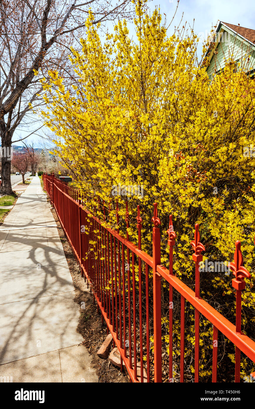 Picket fence garden blooming hires stock photography and images Alamy