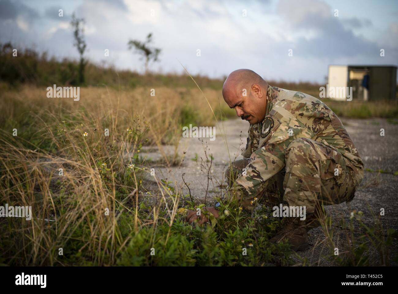 U.S. Air Force Master Sgt. Joshua Alvarez, with the 36th Mobility Response Squadron, secures his tent during excercise Cope North 19 at Tinian, U.S. Commonwealth of the Northern Marianas Islands Feb. 26 2019. Cope North is an annual multilateral U.S. Pacific Air Forces-sponsored field training exercise focused on combat air forces large-force employment and mobility air forces humanitarian assistance and disaster relief training to enhance interoperability among U.S., Australian and Japanese forces. Stock Photo