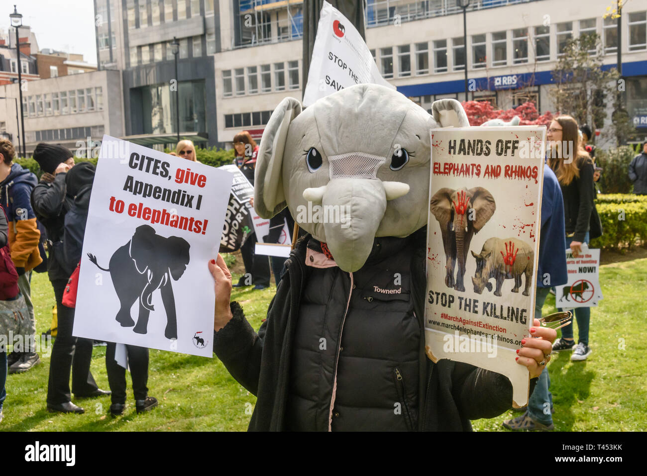 London, UK. 13th April 2014. A campaigner wearing an elephant head in Cavendish Square before the march through London  to a rally opposite Downing St as a part of the 2019 Global March for Elephants and Rhinos. They called on the UK government to impose a ban on the import of hunting trophies of endangered species to the UK, and supported an increase in the protection under CITES for elephants and opposed attempts to downgrade protection of endangered species or reopen trade in ivory and other body parts. Peter Marshall/Alamy Live News Stock Photo