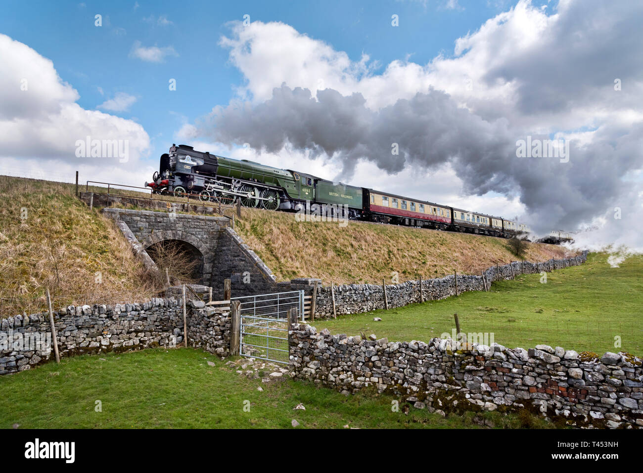 Settle, North Yorkshire, UK, 13th April 2019. The 'Tornado' steam locomotive hauls 'The Border Raider' special train on the Settle to Carlisle railway line. Seen here at Selside, near Settle, in the Yorkshire Dales National Park. The steam special ran from Crewe to Carlisle and return. Stock Photo