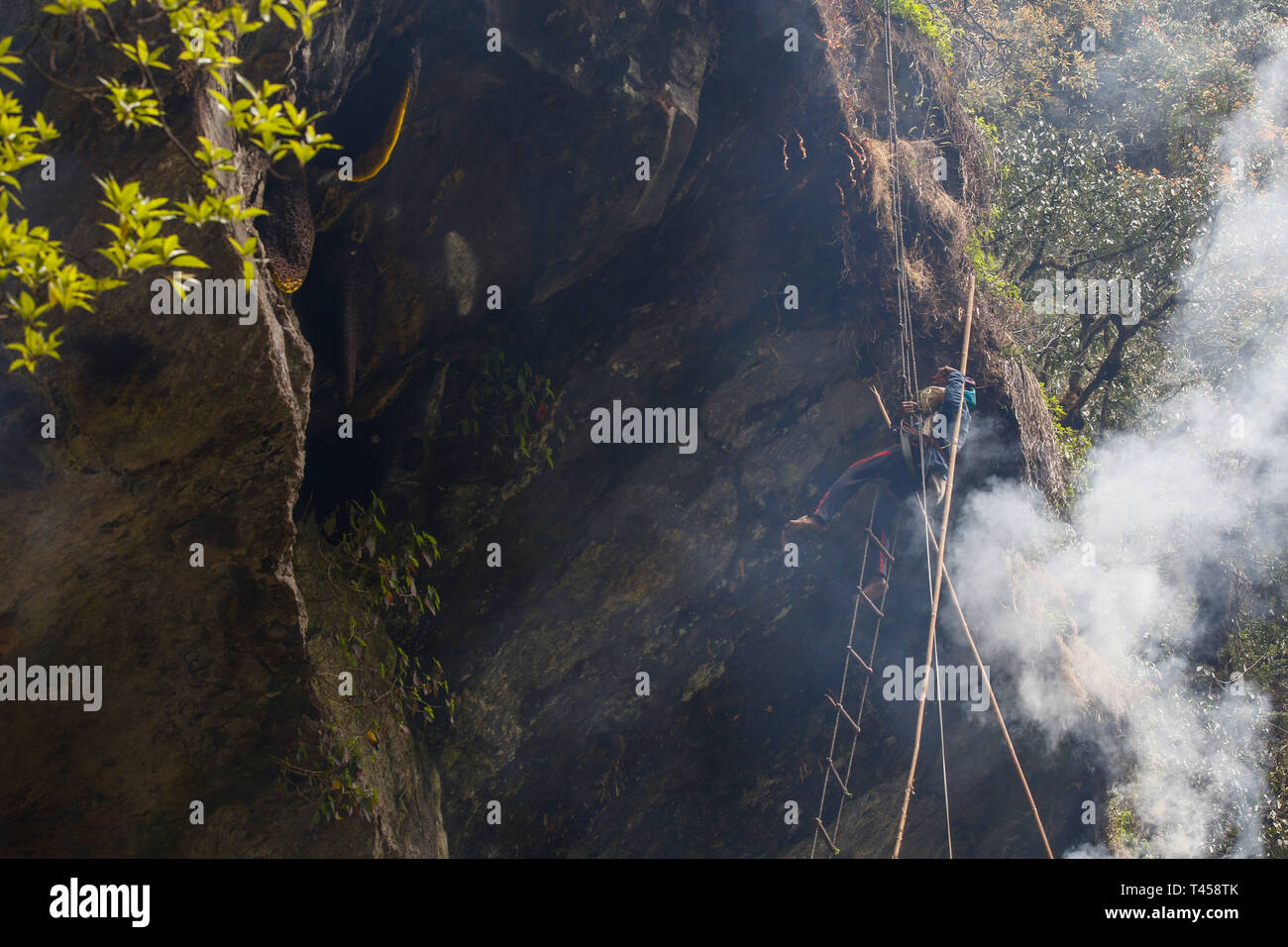 A hunter seen harvesting honey from the cliffs, hanging on the rope ladder. Hunters climb up to 300 feet at the cliffs to harvest honey. October, November, April, May and June are the best seasons to harvest honey. Stock Photo