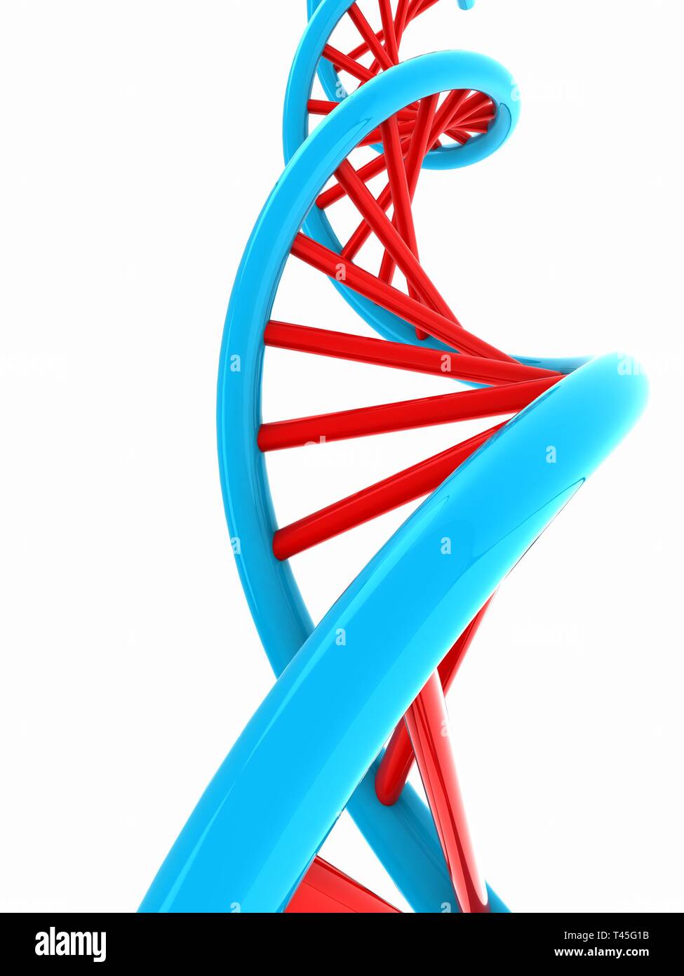 DNA structure model on white Stock Photo - Alamy