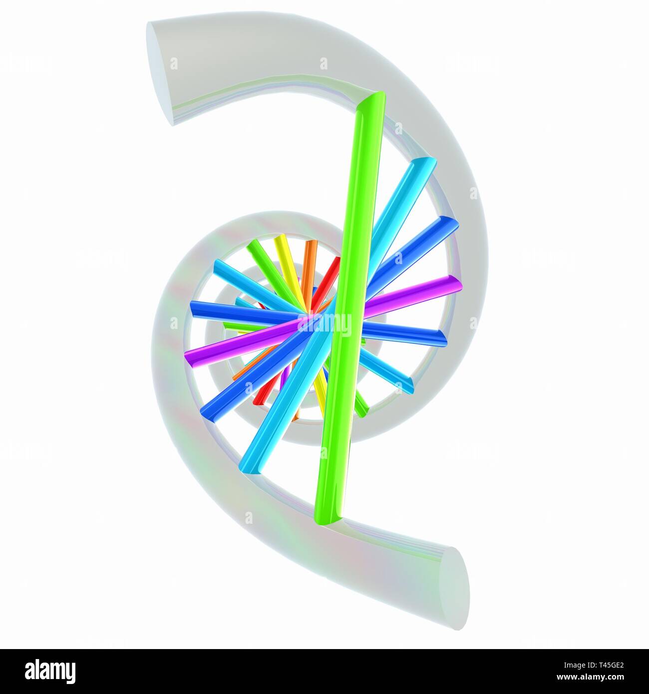 DNA structure model on white Stock Photo - Alamy
