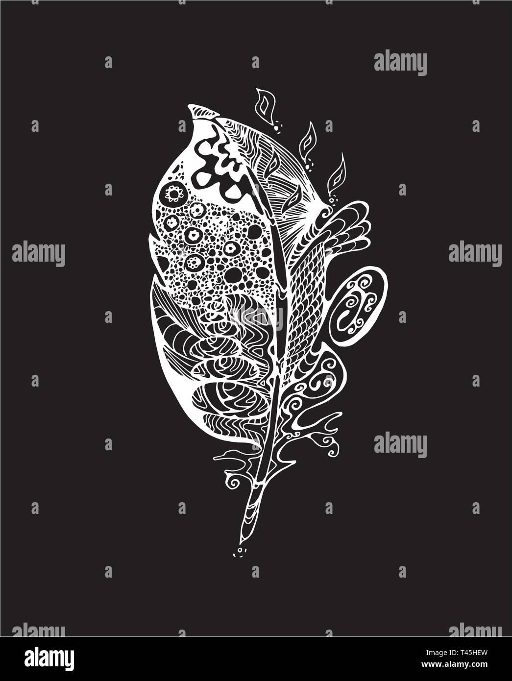 Illustration with stylized feathers with doodle patterns. Chalk on a blackboard. Stock Vector