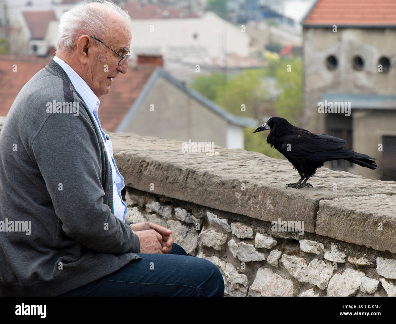 Belgrade, Serbia -  April 9, 2019: Lonely senior man sitting alone on a city bench and looking at crow or raven bird looking back Stock Photo