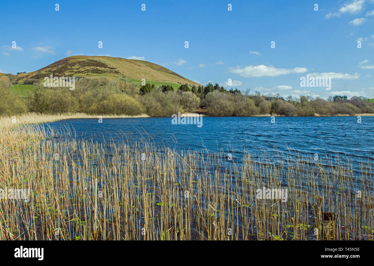 Llanbwchllyn Lake Radnorshire Powys Stock Photo