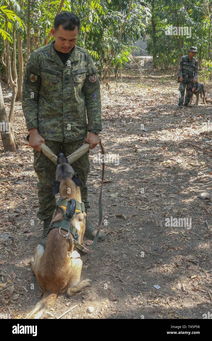 Naruto, a K9 from the Philippine Army, plays with a toy from Sgt Oriel