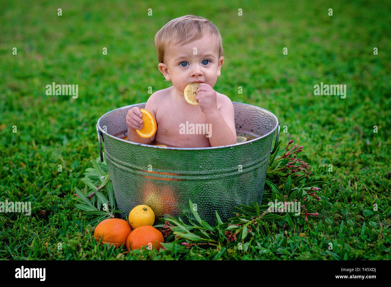 Smiling Baby in bucket with fruit Stock Photo