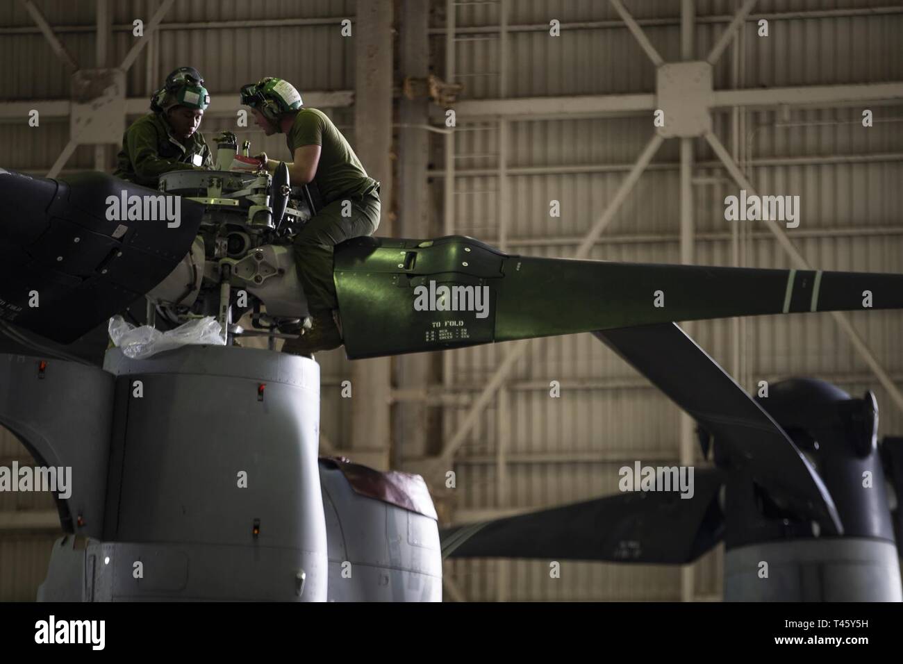 Marines with Marine Medium Tiltrotor Squadron 262 (Reinforced) perform maintenance atop the engine of an MV-22B Osprey tiltrotor aircraft inside the squadron’s hangar at Marine Corps Air Station Futenma, Okinawa, Japan, March 11, 2019. VMM-262 (Rein.) is the Aviation Combat Element for the 31st Marine Expeditionary Unit. Marines with the 31st MEU are conducting simulated EABO in a series of dynamic training events to refine their ability to plan, rehearse and complete a variety of missions. During EABO, the 31st MEU partnered with the 3rd Marine Division, 3rd Marine Logistics Group and 1st Mar Stock Photo