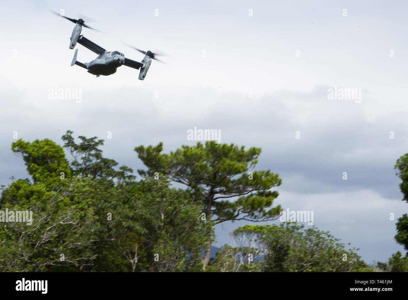 An MV-22B Osprey tiltrotor aircraft belonging to Marine Medium Tiltrotor Squadron 262 (reinforced) flies above Camp Schwab during platoon attack training at Camp Schwab, Okinawa, Japan, Feb. 28, 2019. During the training, Marines with Charlie Company, Battalion Landing Team, 1st Battalion, 4th Marines refined their ability “To locate, close with and destroy the enemy by fire and maneuver, or repel the enemy’s assault by fire and close combat,” the mission of the Marine Corps rifle squad. Charlie Company Marines are the airborne raid specialists with BLT 1/4, the Ground Combat Element for the 3 Stock Photo