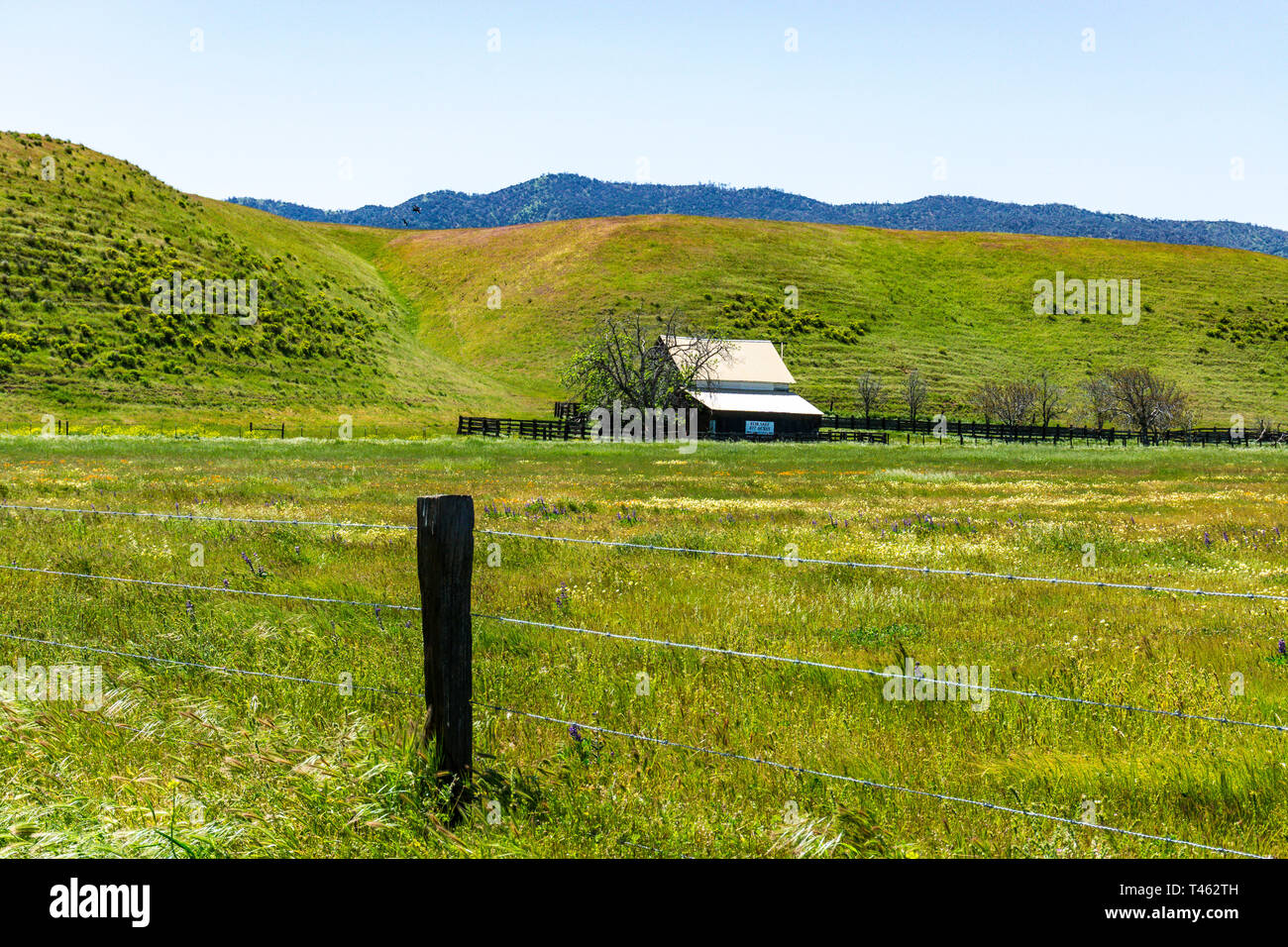 An array of wildflowers and an old farmstead at the intersection of