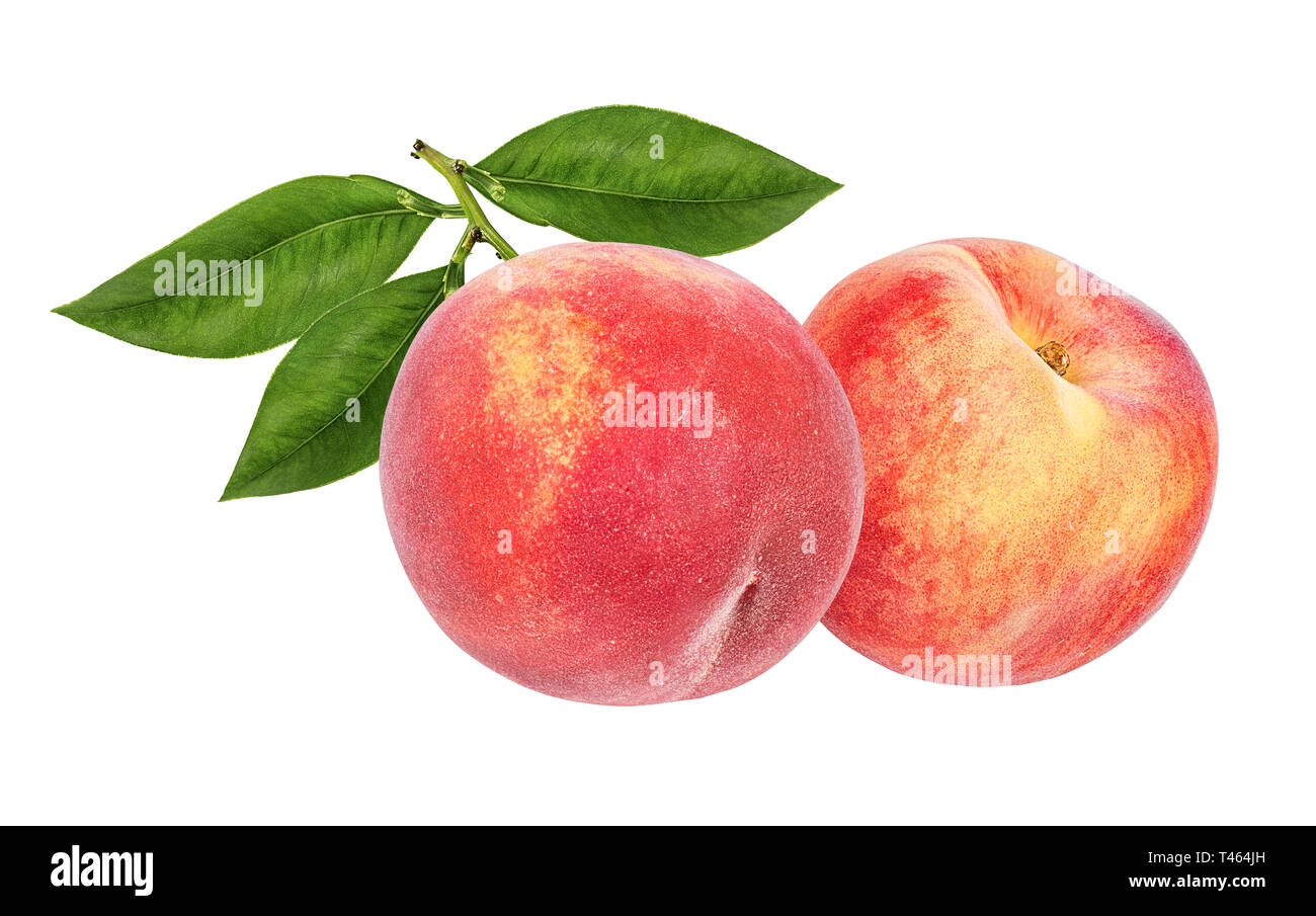 Peach isolated on white background Stock Photo
