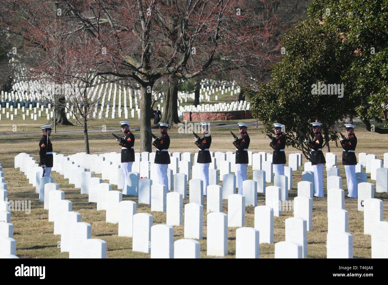 A Firing Party With Marine Barracks Washington D C Renders A