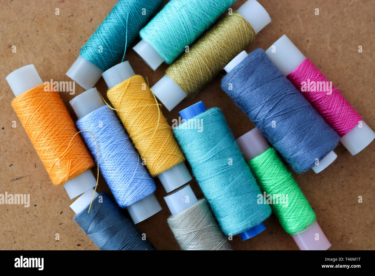 Multicolor sewing threads on a roll for sewing on a wooden background Stock Photo