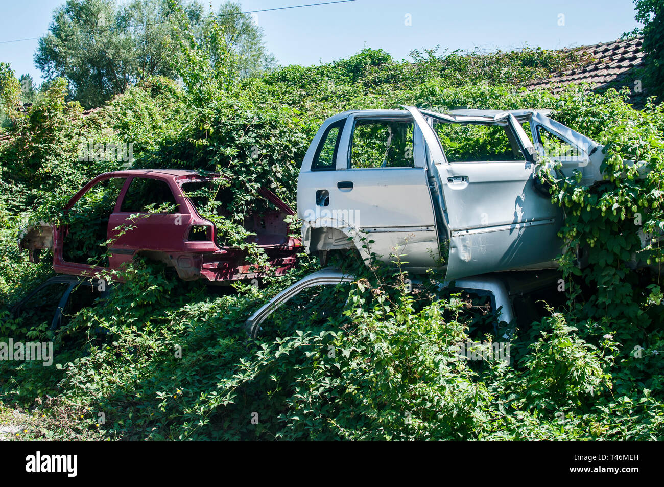 Old crushed cars bodies stored in auto wrecking junk yard for scrap and