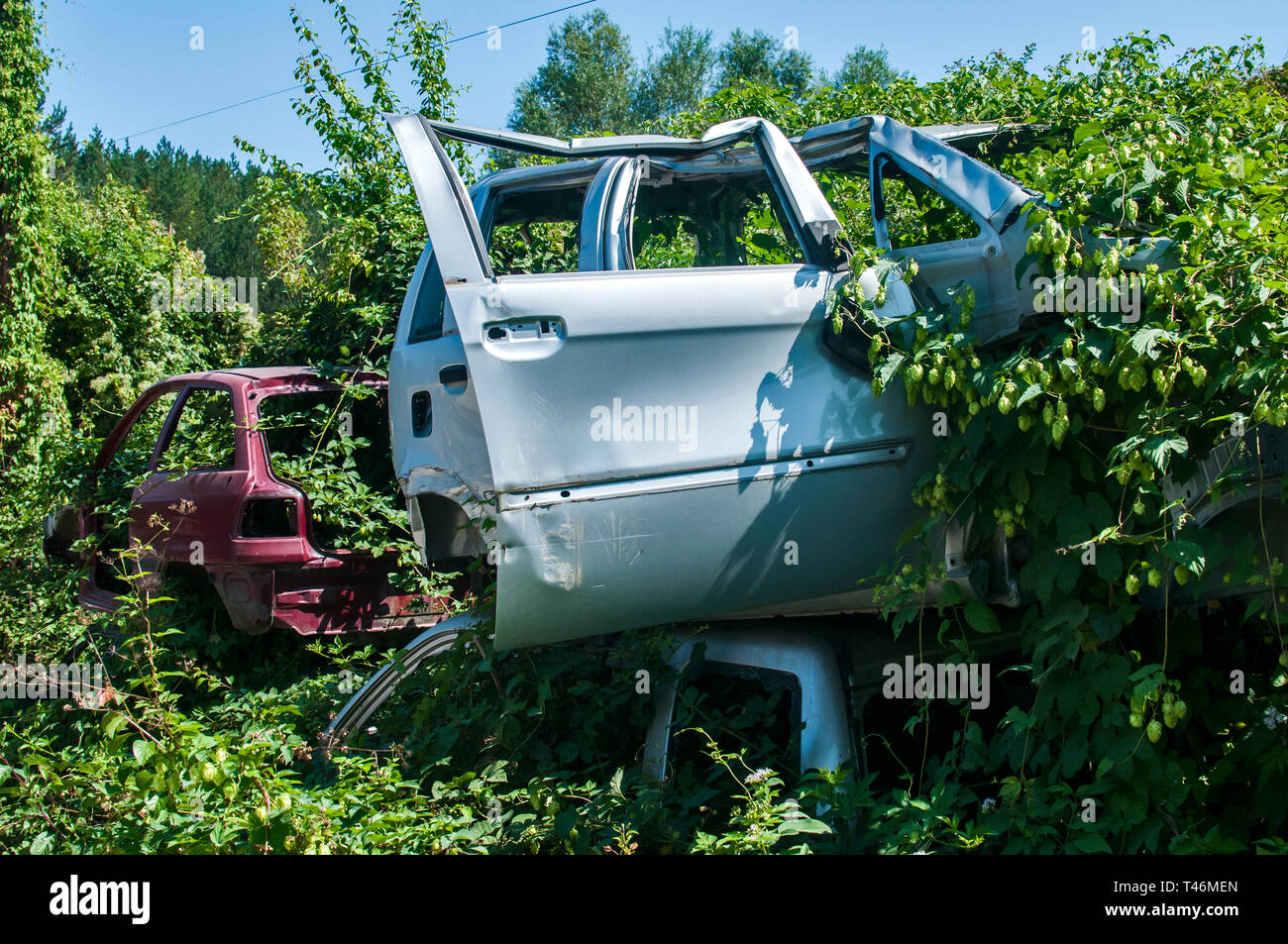 Old crushed cars bodies stored in auto wrecking junk yard for scrap and