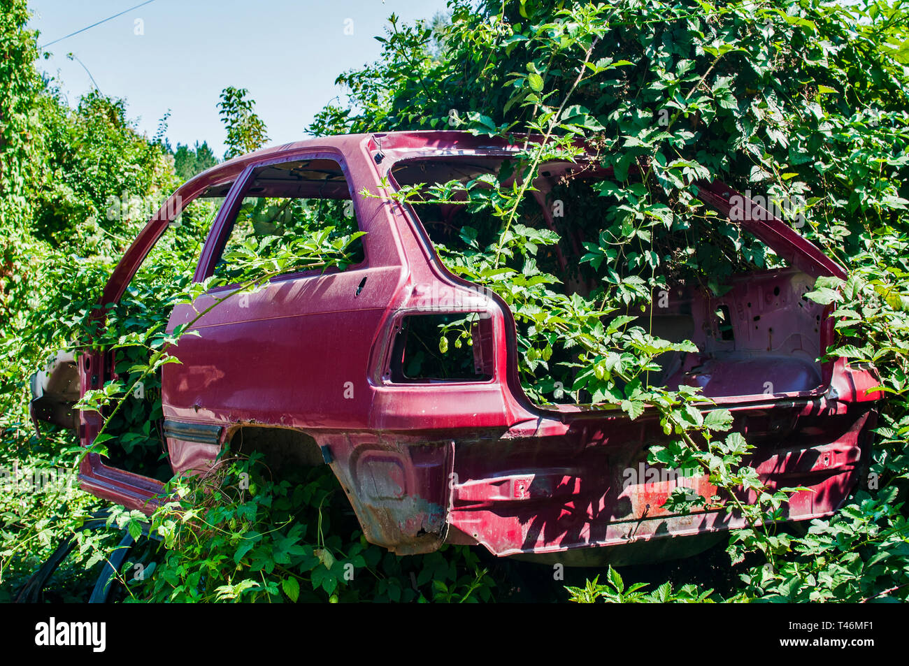 Old crushed cars bodies stored in auto wrecking junk yard for scrap and