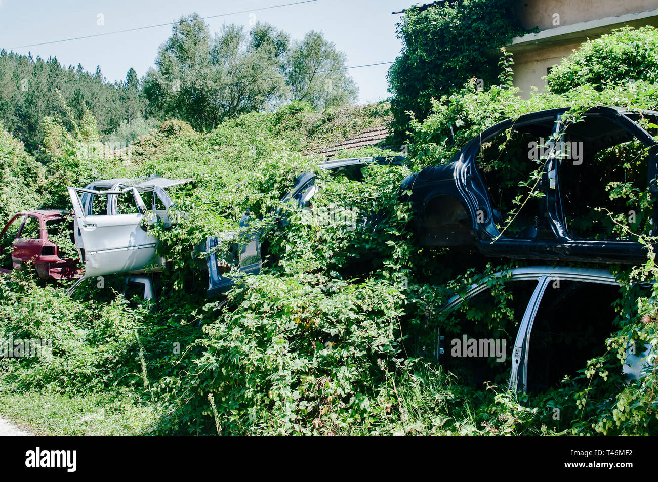 Old crushed cars bodies stored in auto wrecking junk yard for scrap and spare parts Stock Photo
