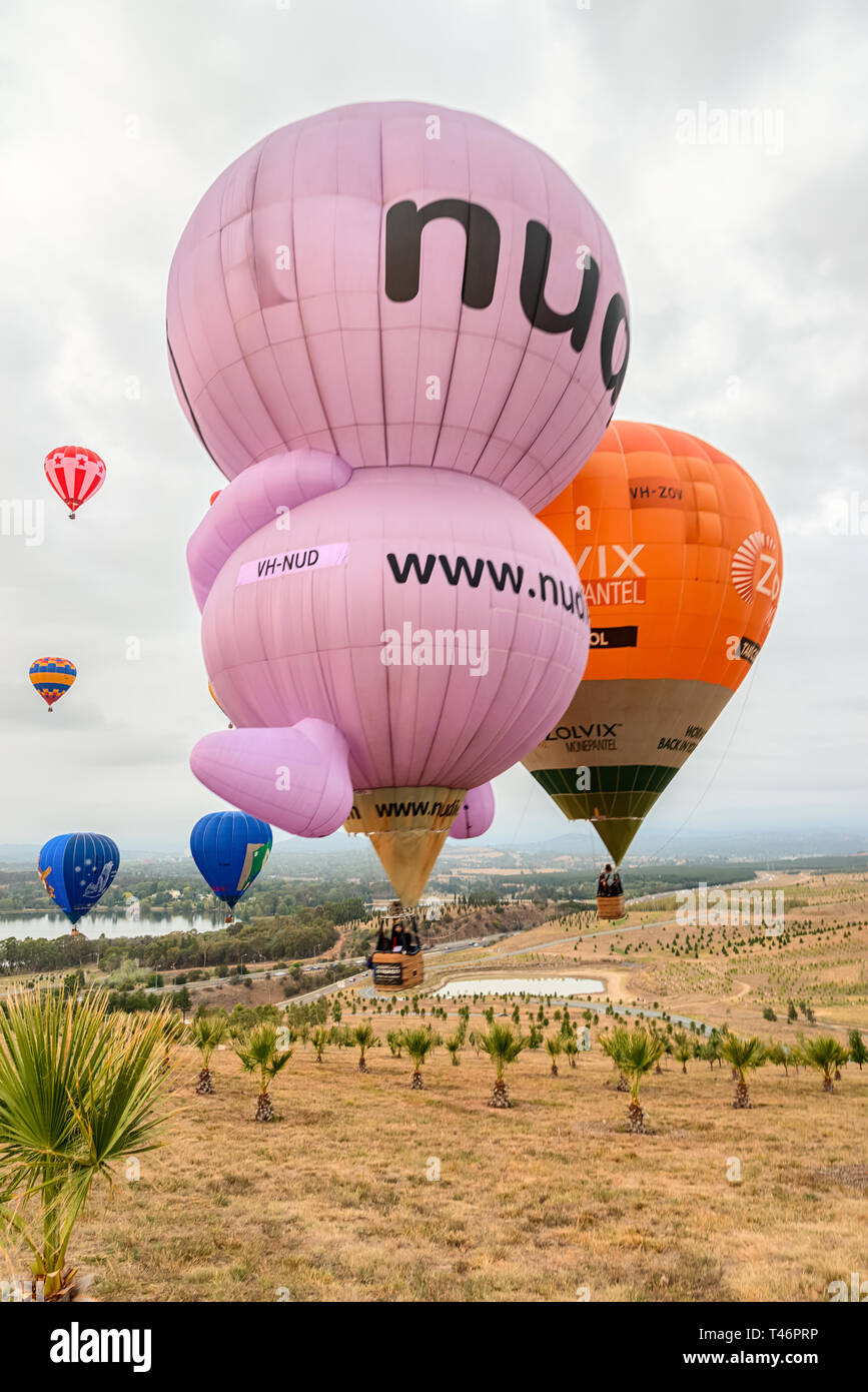 Canberra, Australia, March 14th, 2019 ,Hot air balloons flying over the arboretum during the annual festival. Stock Photo