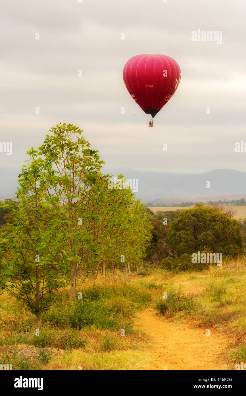 Canberra Australia, March 13th, 2019, hot air balloon flying over colourful fields on a misty morning. Stock Photo