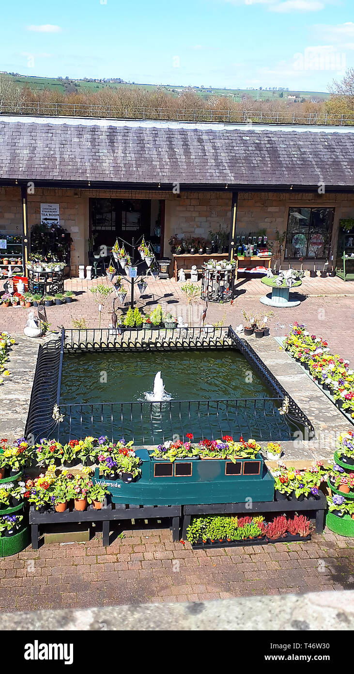 Garden Centre set up in the mill yard of a former Cotton Mill in Brierfield Nelson Lancashire Stock Photo