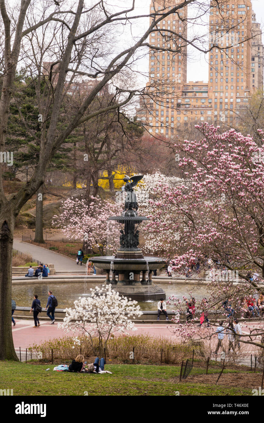 Bethesda Plaza,  Angel of the Waters Fountain in Springtine, NYC Stock Photo