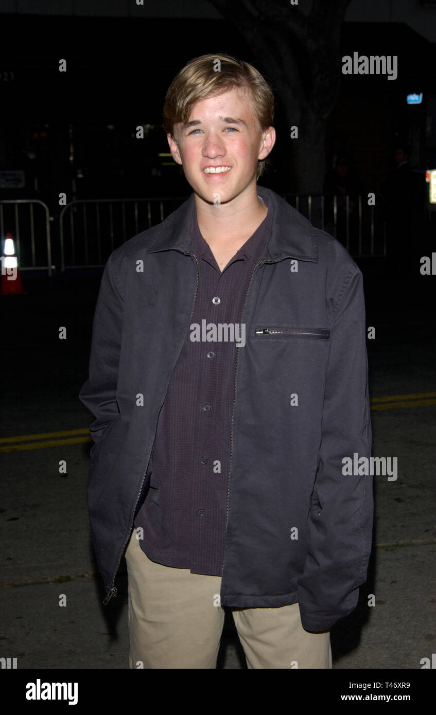 LOS ANGELES, CA. April 07, 2003: Actor HALEY JOEL OSMENT at the Los Angeles premiere of It Runs In The Family. Stock Photo