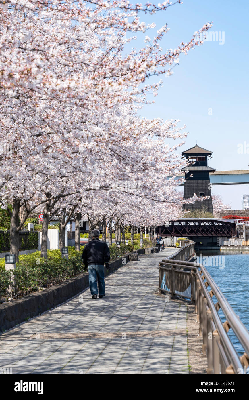 Shin edogawa hi-res stock photography and images - Alamy