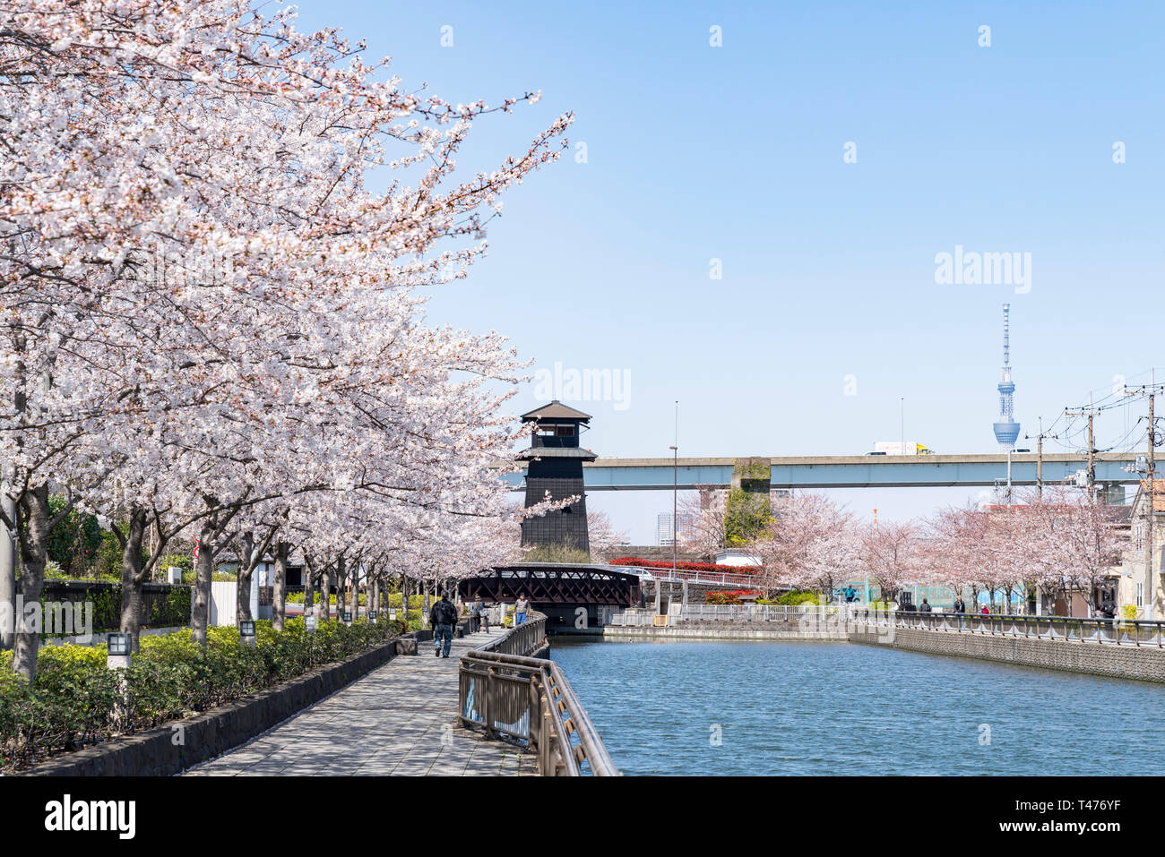 Shin edogawa hi-res stock photography and images - Alamy