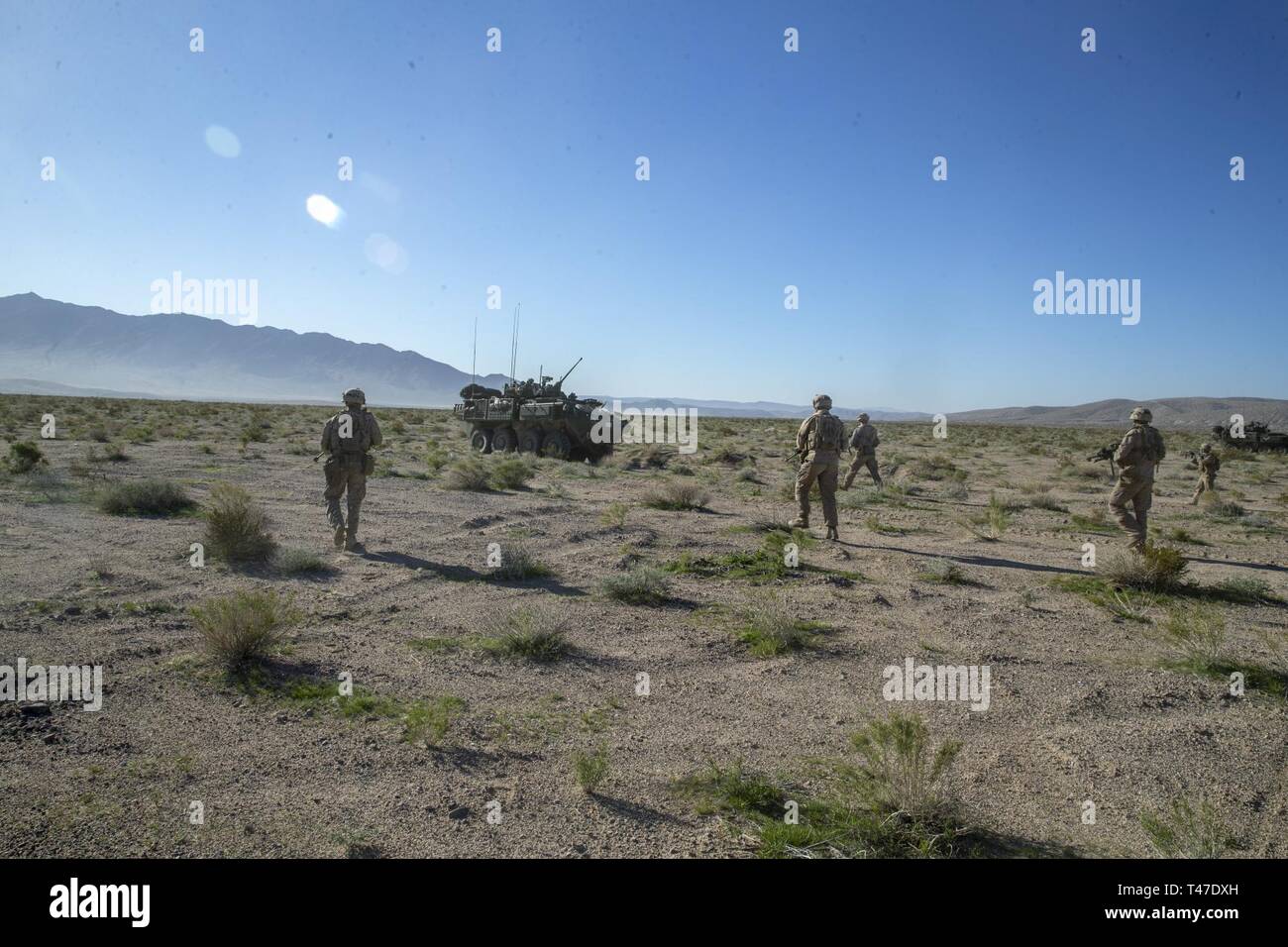 U.S. Marines with 2nd Light Armored Reconnaissance Battalion, 2nd Marine Division close in on an enemy vehicle during a deployment for training at Fort Irwin, California, March 17, 2019. The Marines of 2d Light Armored Reconnaissance Battalion participated in National Training Center 19-05 as the opposing force against the 2nd Armored Brigade Combat Team, 1st Infantry Division. The exercise provided Marines and Sailors an opportunity to sustain training in primary conventional combat operations against a peer competitor. Stock Photo