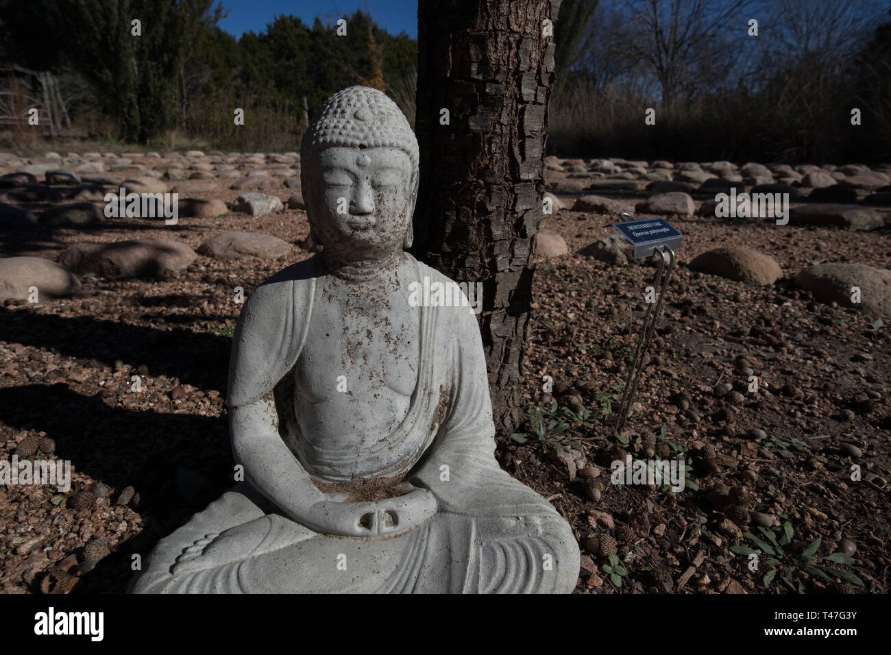 A statue of the Buddha meditating in a Japanese-inspired Zen Garden in Austin, Texas Stock Photo